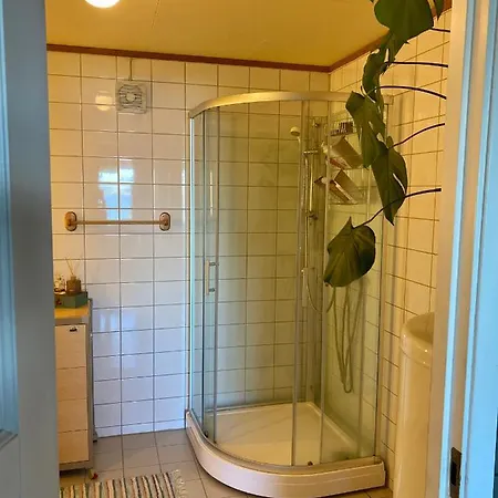 Raket 3 Viggja